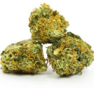 HOG Organic UK Marijuana Strain