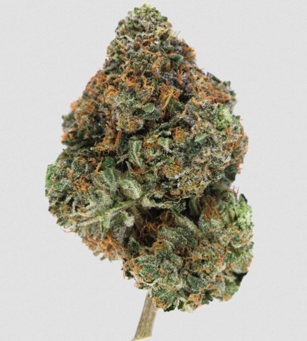 Bubba Kush Marijuana UK