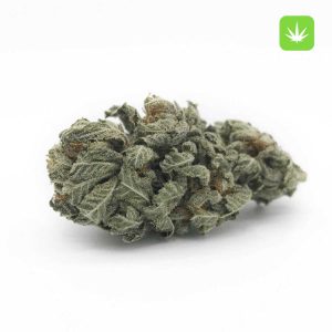 Buy Bubba Kush Marijuana Online