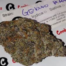 Buy Gelato Marijuana Strain