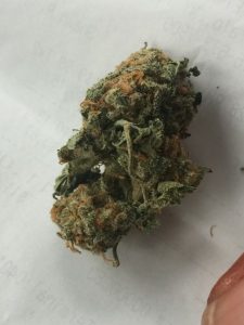 Buy Skittlz Cannabis Strain