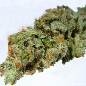 Casey Jones Marijuana Flower