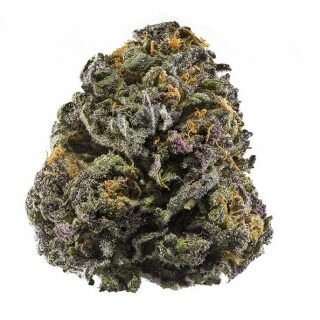 Grand Daddy Purple Strain