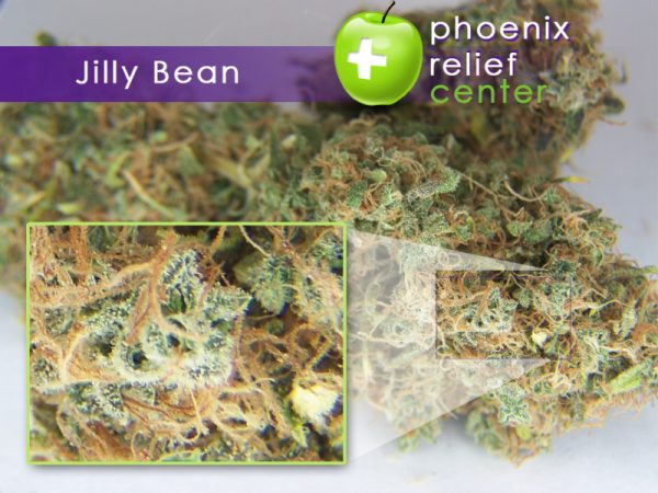 Buy Jilly Bean Cannabis UK