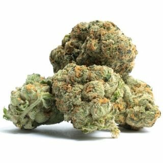 Thin Mint Girl Scout Cookies Strain UK