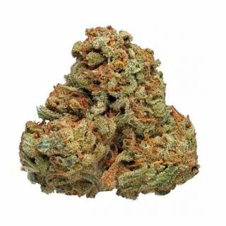 Cinderella 99 Marijuana Strain UK