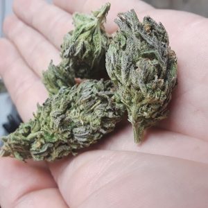 Buy Blue Power Marijuana UK