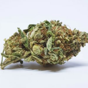 Jack the Ripper Cannabis UK