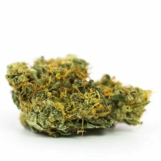 Sour Jack Weed Strain UK