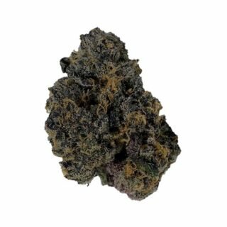 Russian Assassin OG (premium – 34.6% THC) UK