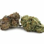 Grease Monkey Cannabis UK