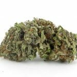 Pacific Blue Weed Strain UK